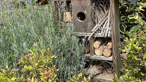 A wooden birdhouse with a sloped roof, a circular entrance hole, and a wooden platform with logs.