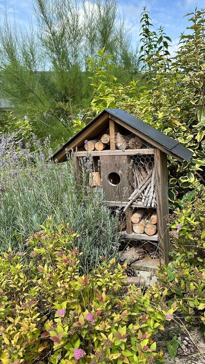 Gîte 3* PISCINE BALNEO SAUNA - Baie de Somme au coeur de la forêt 5 people