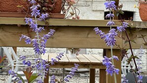 Eine hölzerne Pergola mit einem Schild, auf dem 'LA MARCOTTE' steht, und Blumentöpfen mit violetten Blüten.