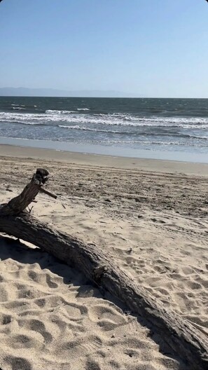 Una spiaggia nelle vicinanze, lettini da mare, teli da spiaggia