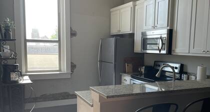 Luxury Downtown Apartment