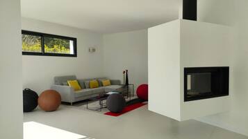 TV connectée, cheminée, livres