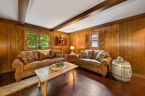 TV connectée, chaîne hi-fi