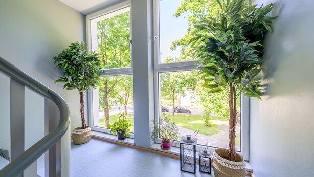 A staircase with potted plants on the landing. - EG L 70m2 2-Zimmer Wohnung (Freilassing)