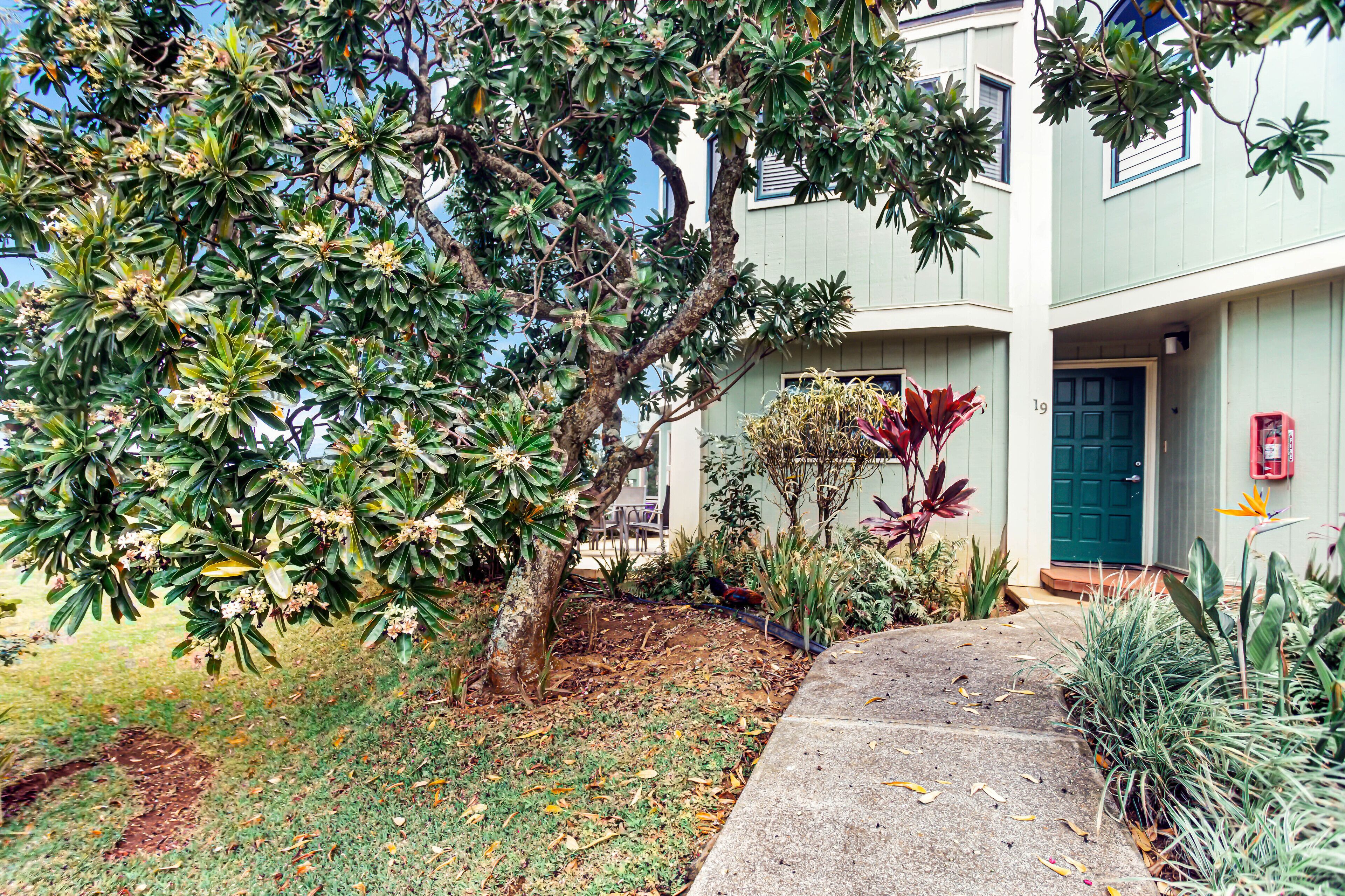 Kamahana 19: 2  BR, 2  BA Condominium in Princeville, Sleeps 4 - Photo 17