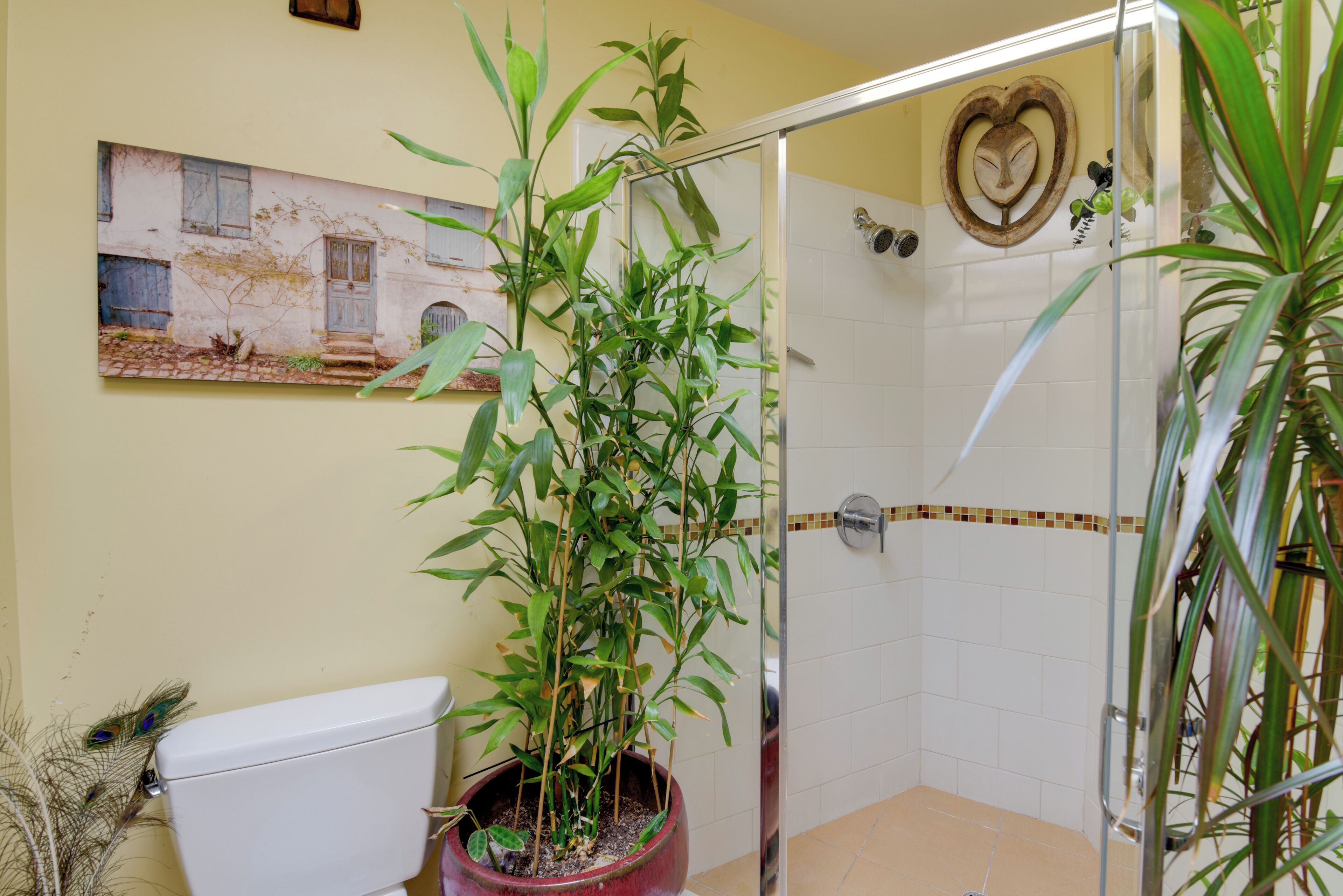 A bathroom with a toilet, a shower, and a potted plant.