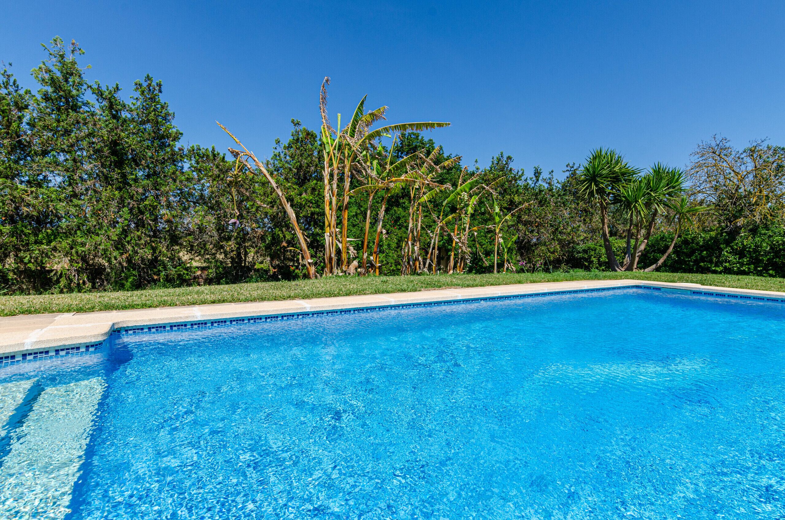 A clear blue swimming pool with a tiled edge, surrounded by lush greenery and trees.