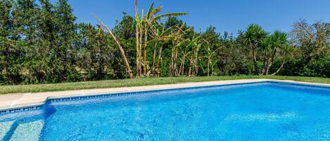 A clear blue swimming pool with a tiled edge, surrounded by lush greenery and trees.