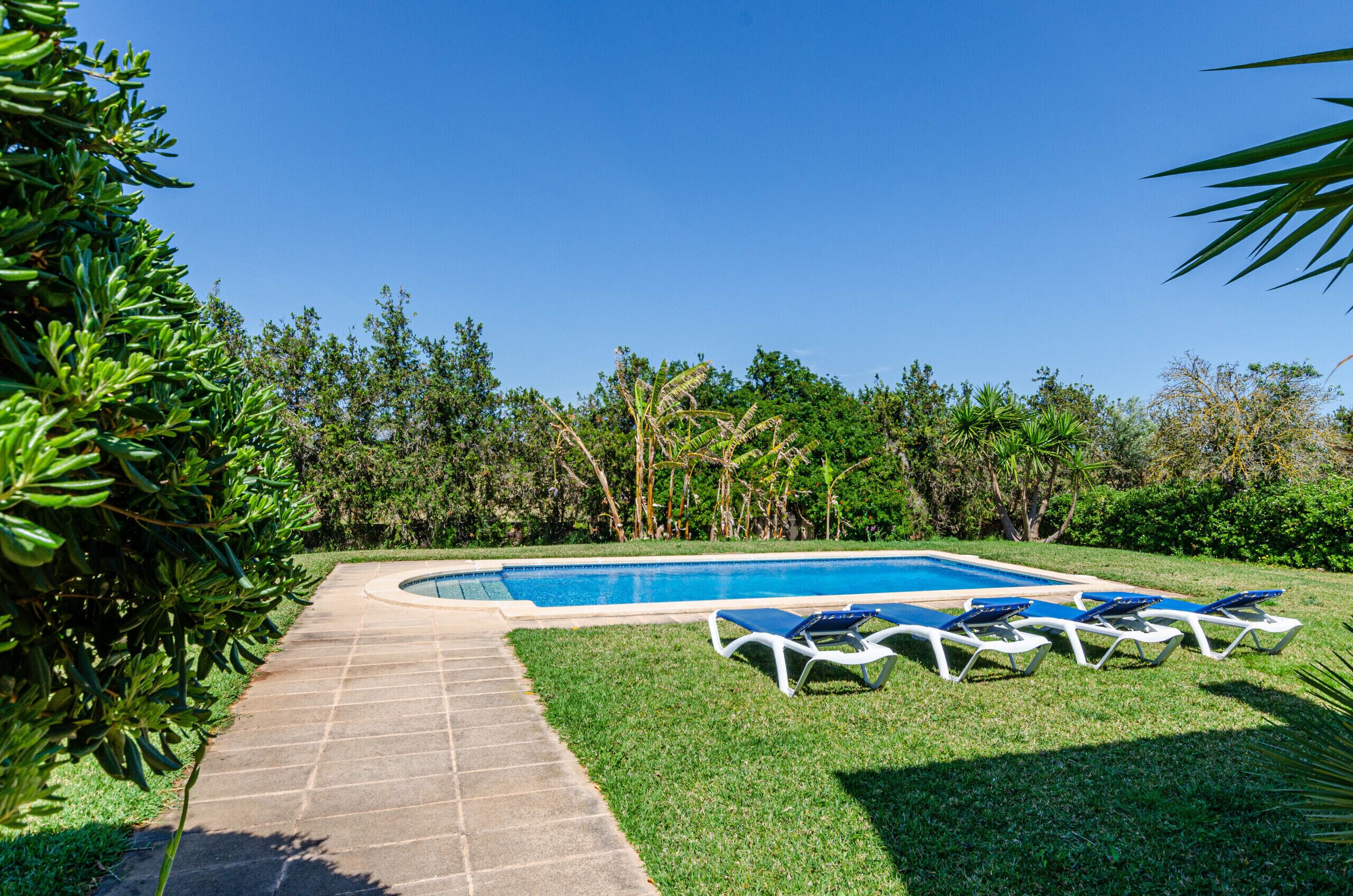 Ein Pool mit Liegestühlen, umgeben von Grünpflanzen und einem gepflasterten Weg.