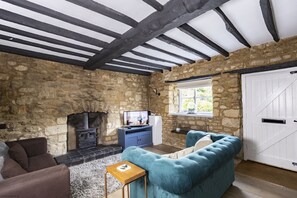 Télévision, cheminée