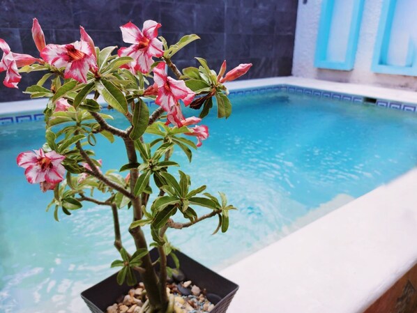 Outdoor pool - La Giraldilla Hotel (Cancun)