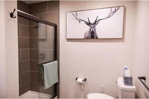 Shower, hair dryer, towels, soap