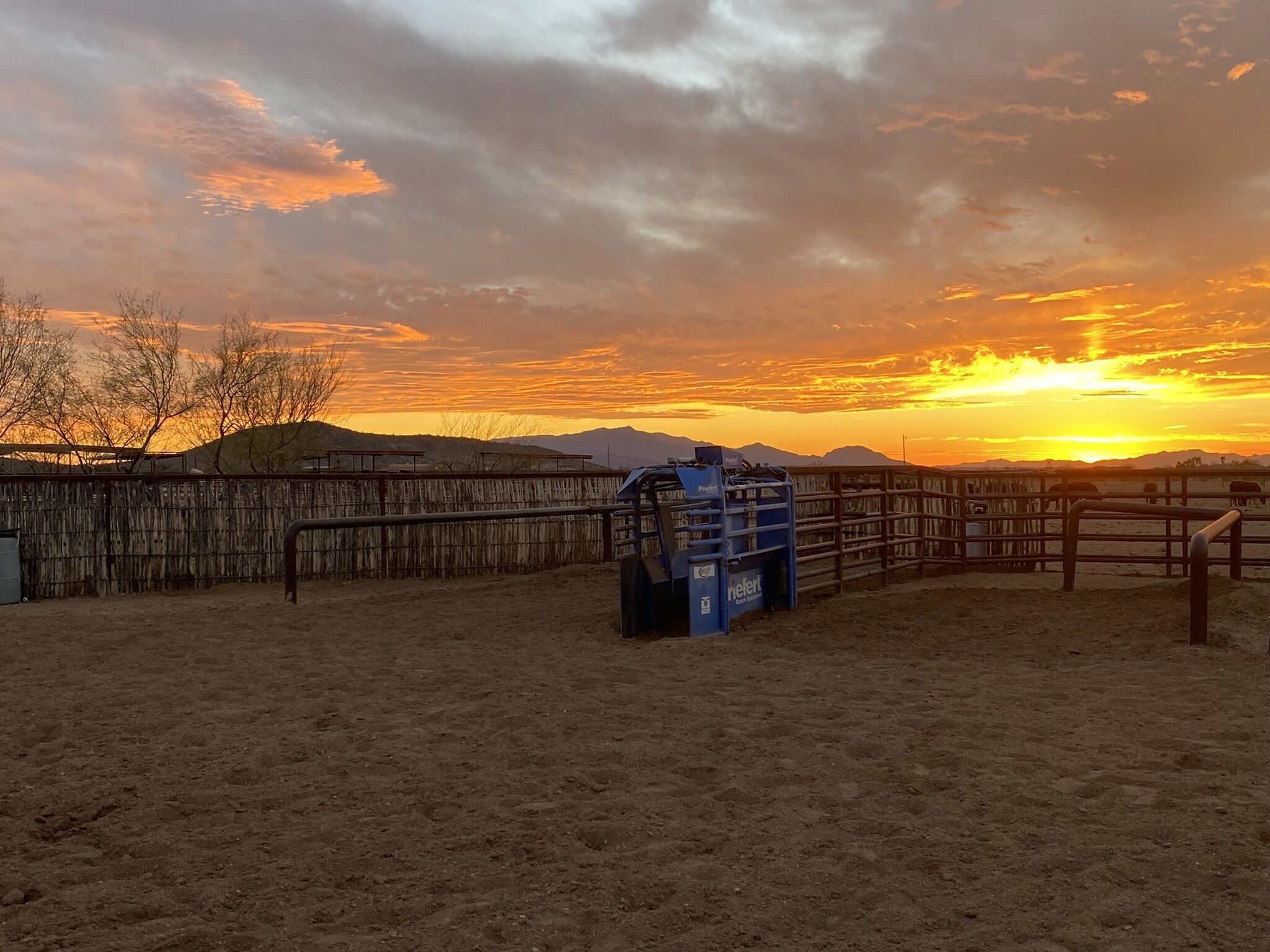 المنطقة المحيطة بالمنشأة