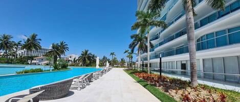 Relax by the pool surrounded by palm trees and lounge chairs.