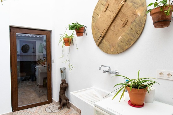 Planta, Propiedad, Maceta, Verde, Planta De Casa, Madera, Diseño De Interiores, Encendiendo, Mesa, Pared