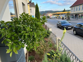 Plant, Wheel, Cloud, Property, Building, Car, Vehicle, Road Surface, Sky