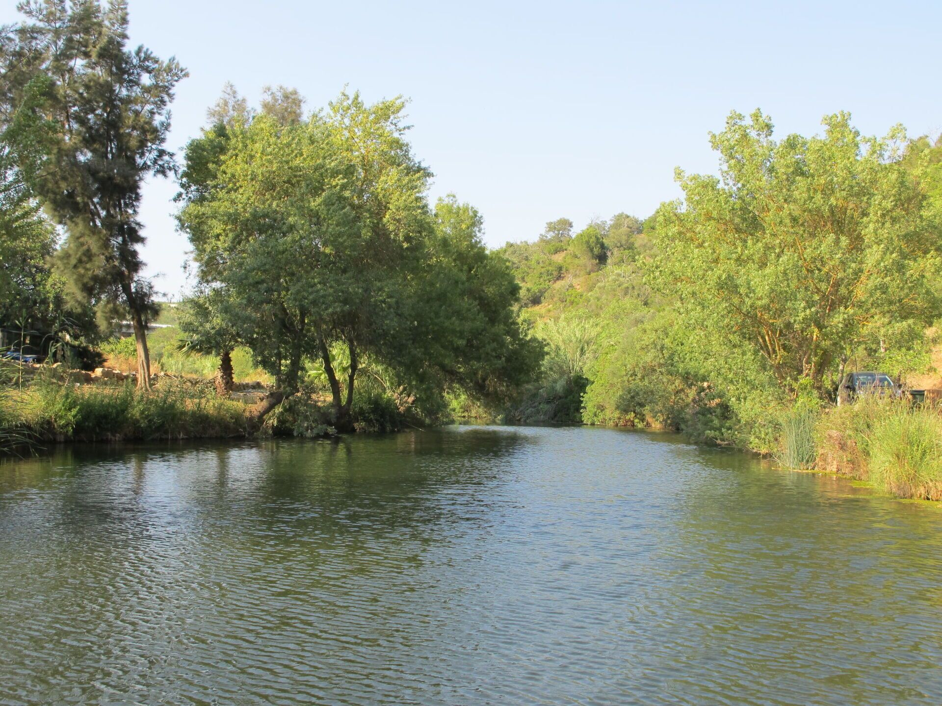 Ein ruhiger Fluss, gesäumt von Bäumen, unter einem klaren Himmel, mit einem Gebäude in der Ferne.