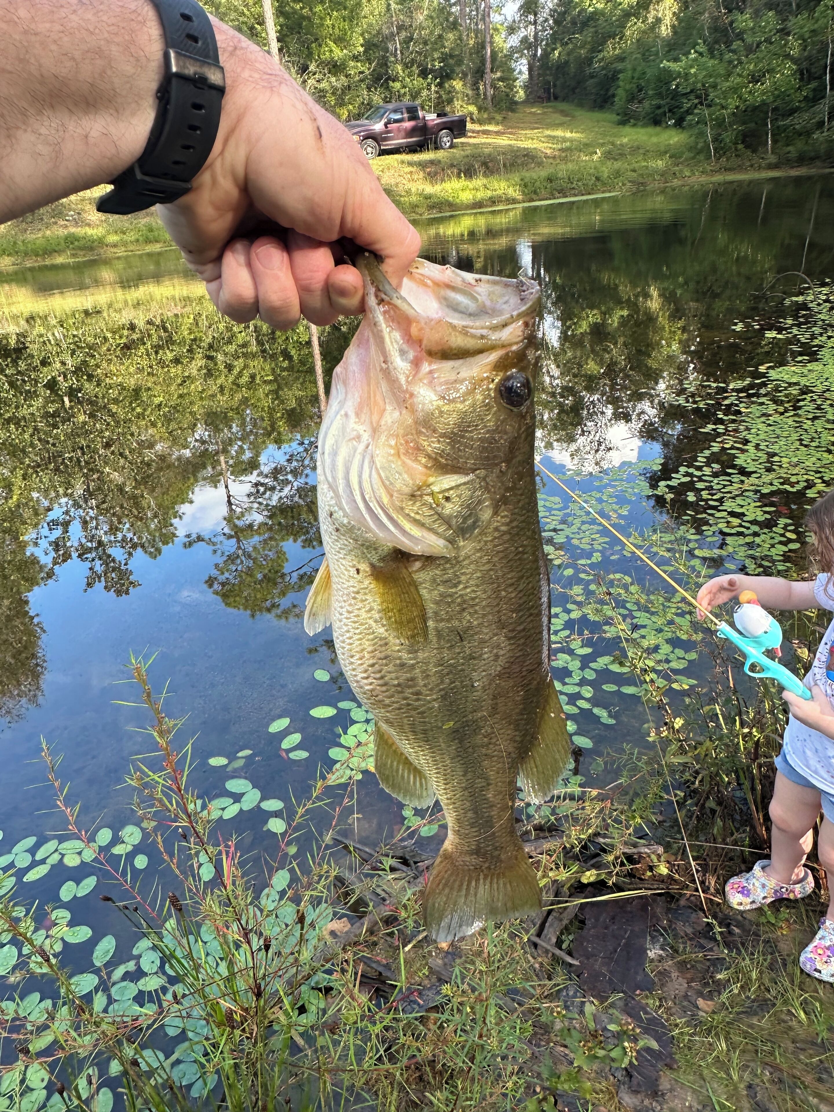 Eine Person hält einen Fisch in der Nähe eines Gewässers mit Seerosen, im Hintergrund ein Lastwagen.