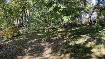 Àrea exterior de l'allotjament