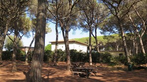 A rustic outdoor area with picnic tables and tall trees, a white building in the background, and a clear sky. - Cosy apartment for 6 guests with TV and balcony (Rosignano Marittimo)