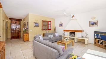 TV, fireplace