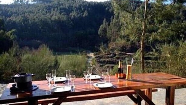 Mesa de madera al aire libre con vista a una ladera boscosa.