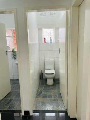 Een kleine badkamer met toilet, hygiëneschuimer en een raam met decoratieve roedeijzers.