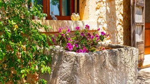A stone planter with vibrant purple flowers, a window with a red frame, and a rustic building facade. - Beautiful villa with pool in Llubí, in the center of Mallorca. (Llubí)