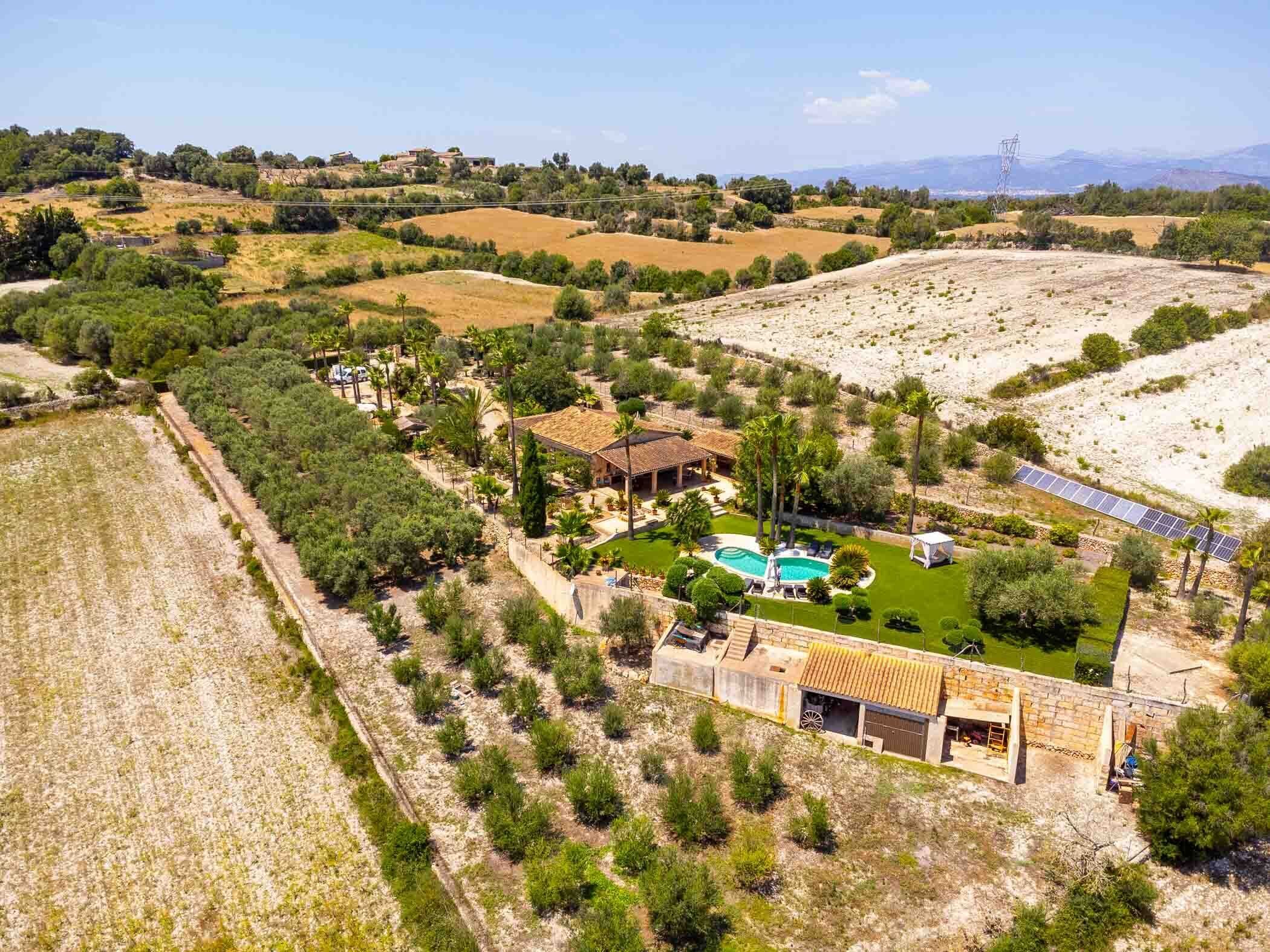 A large estate with a swimming pool, solar panels, and a vineyard.