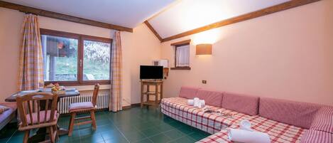 تلفزيون