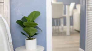 Un pasillo con una planta en maceta sobre una pequeña mesa, una silla blanca y una puerta con marco blanco.