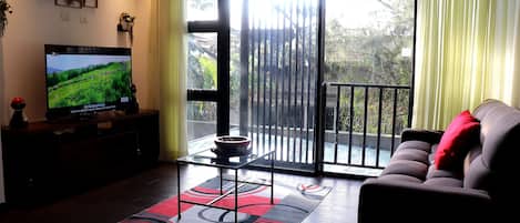 Smart TV, reproductor de DVD, libros