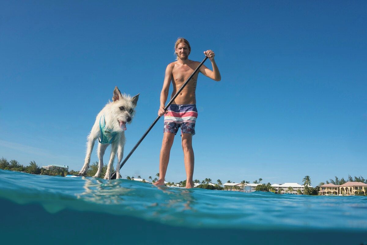 A person standing on a paddleboard with a dog, surrounded by clear blue water and a clear sky.