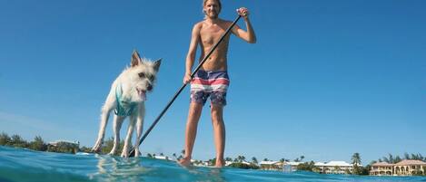 A person standing on a paddleboard with a dog, surrounded by clear blue water and a clear sky.