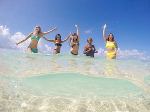A group of people in a tropical setting, likely a beach or poolside area.