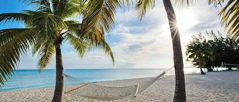 A beach with a hammock and palm trees.