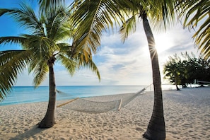 A beach with a hammock and palm trees.