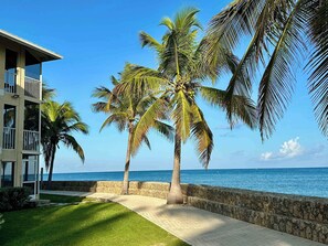 Une propriété située en bord de mer, dotée d’un mur en pierre, d’une allée pavée et de palmiers.