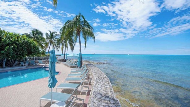 Un espace aménagé au bord de la piscine, avec des chaises longues et des parasols, un mur en pierre et des palmiers.