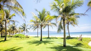 A tropical beach scene with palm trees and a clear view of the ocean. - Luxury Danang Beach Pool Villa (Da Nang)