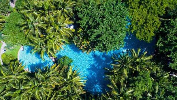 An aerial view of a tropical resort with a swimming pool surrounded by dense palm trees and lush greenery. - Luxury Danang Beach Pool Villa (Da Nang)