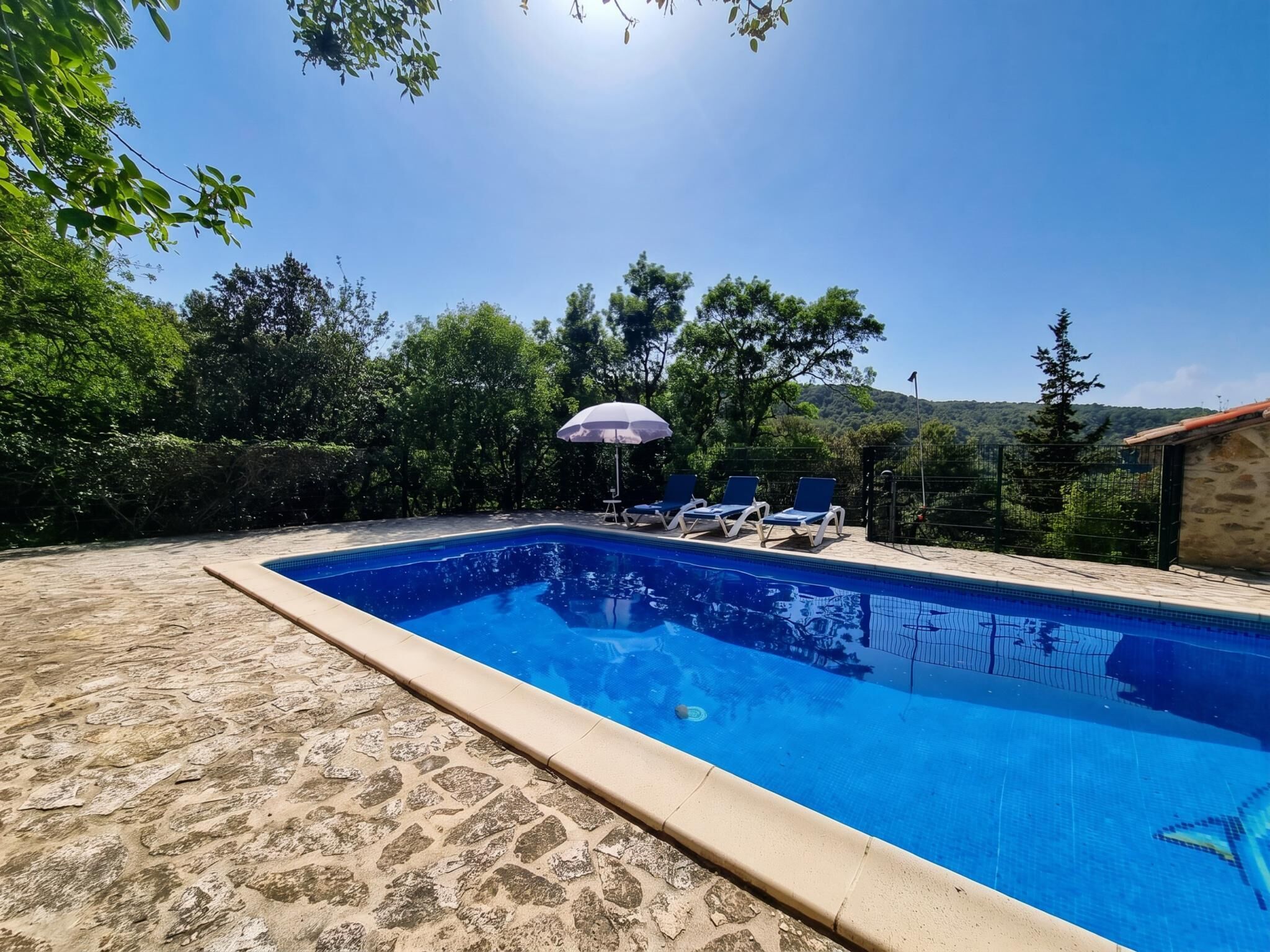 Une piscine aux bords recouverts de pierres, entourée d’arbres et baignée par un ciel dégagé.