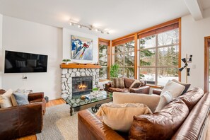 Smart TV, fireplace, books, stereo