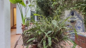 Un couloir étroit agrémenté d’une grande plante et de fougères, avec un sol carrelé et un mur décoratif orné de carreaux bleus et blancs.