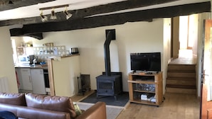 Een woonkamer met een leren bank, een tv-meubel, een open haard en een keukenhoek met een magnetron en een broodrooster.
