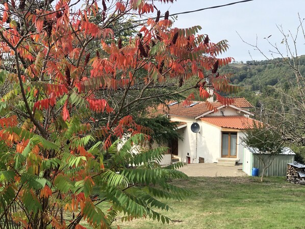 المنطقة المحيطة بالمنشأة