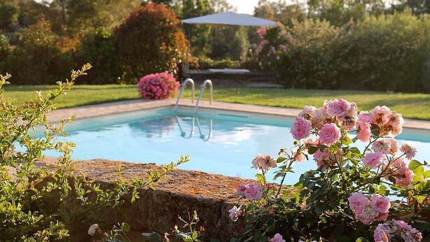 En swimmingpool omgiven av frodig grönska och rosa blommor.