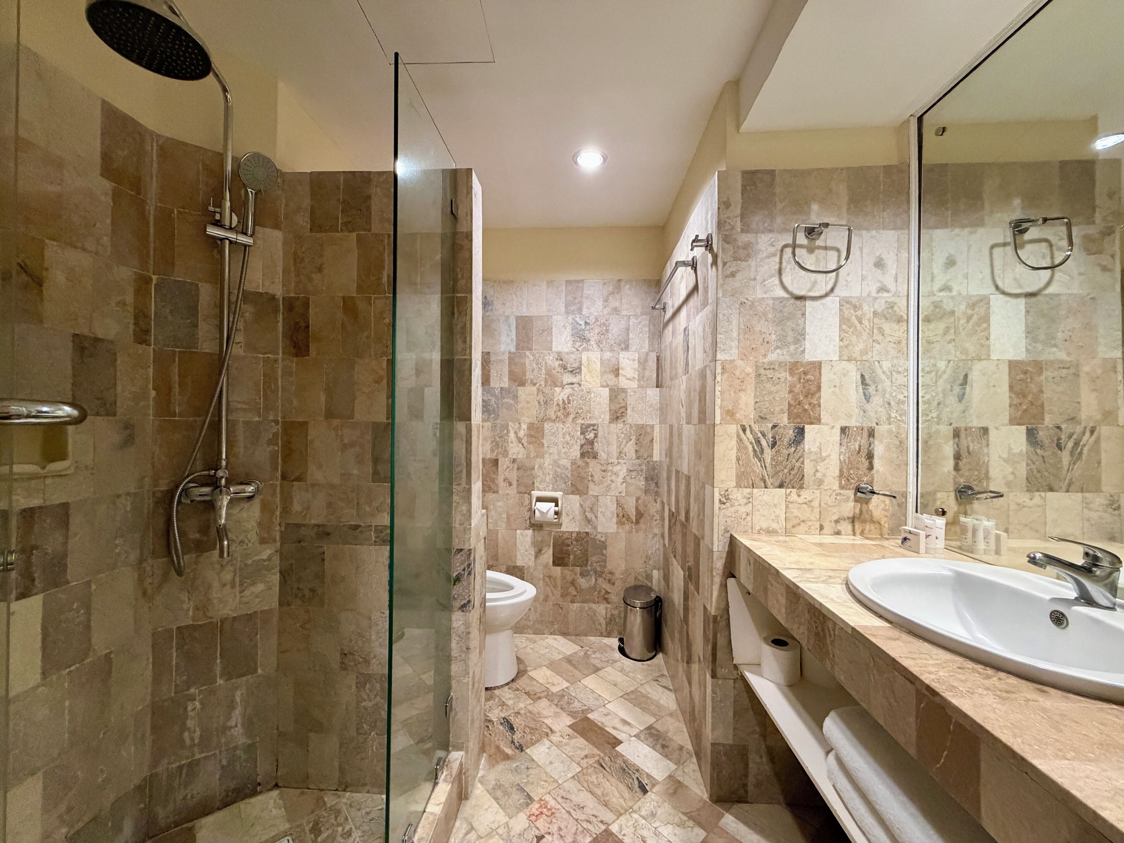 Habitación Deluxe con 1 cama doble o 2 individuales | Baño | Toallas