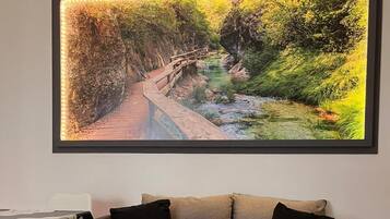 Televisión de pantalla plana