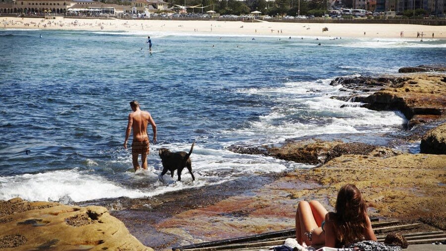 Bondi Breeze Apartment
